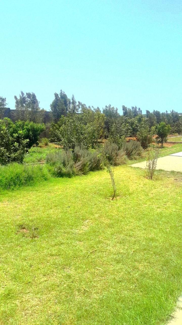Villa Ferme Prive Avec Piscine à Safi Extérieur photo